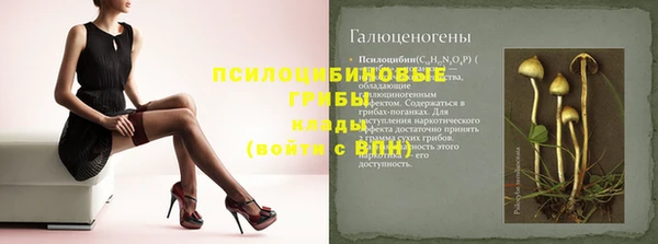 дмт Арсеньев